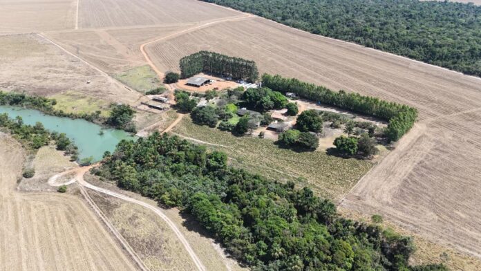 WhatsApp Image 2025-10-27 at 15.24.18