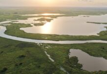 Cáceres será palco da 1ª edição da COP Pantanal