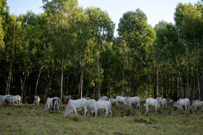 10931f21-dacb-4618-9482-2bb19b64d6b9