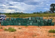 Programa Tolerância Zero faz apreensões de drogas saltarem 82% em MT em um ano