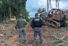 PM apreende máquinas utilizadas em extração ilegal de madeiras