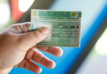 Governo lança aplicativo com aulas gratuitas para CNH e oficializa novas regras nesta terça