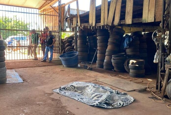 5622ccd5f836ac76435a8b699f8ef1f9