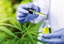 Anvisa amplia regras para uso de cannabis medicinal no Brasil