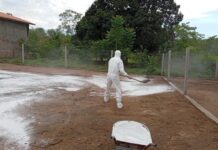 Indea sacrifica aves e encerra foco de gripe aviária em Acorizal