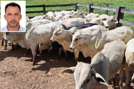 59db3441690aa11e6ace50d0c6bcc5e9