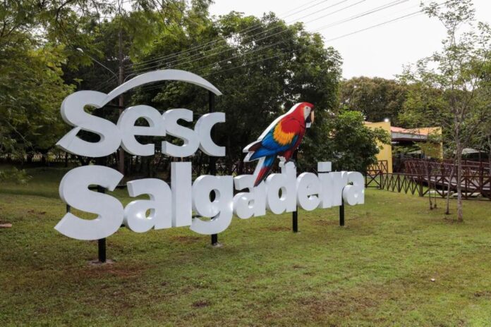 WhatsApp Image 2026-03-29 at 08.03.53