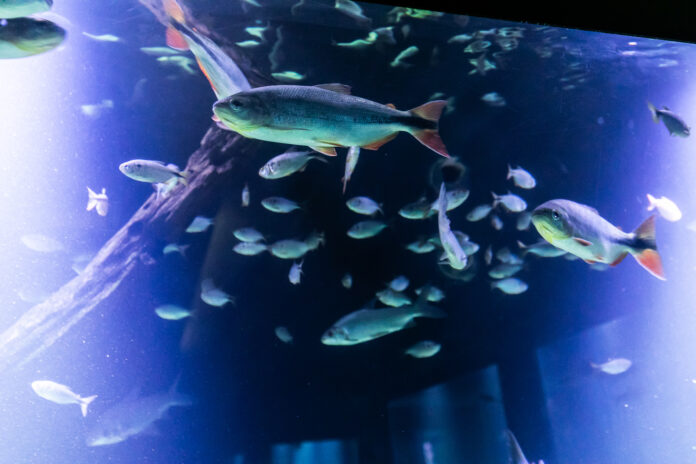 2025-03-28-18-39-088a4095-67e7253701145