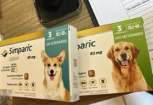 Polícia investiga suspeita de maus-tratos e medicamentos vencidos em clínica veterinária