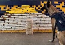 Estrangeiro é preso em Cáceres ao tentar embarcar em ônibus com 136 kg de Cocaína