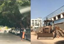 Após polêmica com figueiras, Abilio assina decreto que proíbe ‘poda drástica’ em Cuiabá