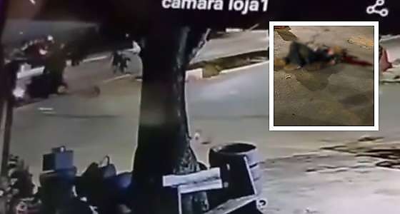 atropelamento querencia