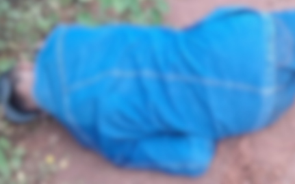 felipe elias