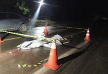 Pedestre morre com corpo dilacerado após atropelamento na BR-364