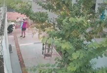Bombeiro militar salva recém-nascido de quatro dias que engasgou com leite materno