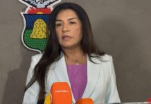 Vereadora anuncia ação para tentar barrar obra após corte de árvores em Cuiabá