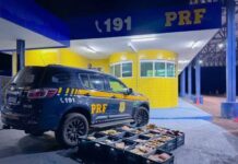 PRF apreende mais de 280 quilos de drogas em ações na BR-364 em Mato Grosso