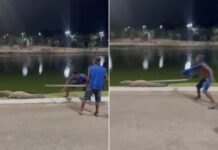 Vídeo mostra homens agredindo jacaré com pedaço de madeira no Parque das Águas