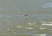 Corpo é encontrado boiando no Rio Cuiabá, em Várzea Grande