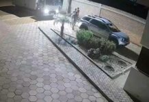 Vídeo mostra retirada de cestas que teriam sido desviadas; veja