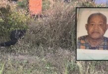 Idoso que tentou matar esposa a martelada é assassinado com mesma ferramenta em Cuiabá Miguel Martins