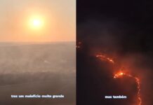 Incêndio de grandes proporções atinge parque estadual em Rondonópolis
