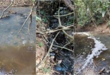 MPE cobra R$ 1 milhão de frigorífico por contaminação de rio em MT