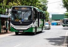 Eleitores terão transporte coletivo gratuito no segundo turno em MT