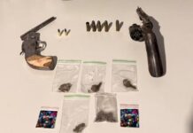 Pivetta propõe enquadrar facções como terroristas e criar protocolos de combate em MT