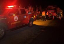 Cinco pessoas, incluindo três crianças, morrem em batida entre carro e carreta em MT